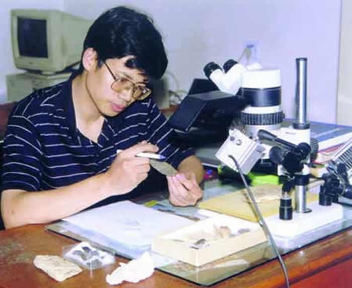 �������򿪿���������ʷ�Ĵ�