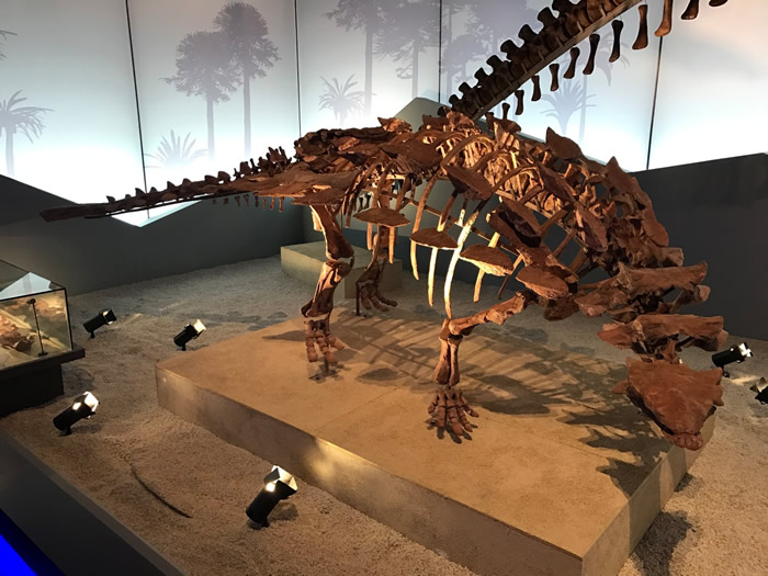 “中国缙云甲龙”的发源地浙江省缙云县壶镇胡宅口村打造恐龙文化村