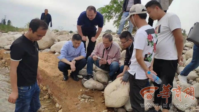 �������﷢��Ϭţ���ǵȹ����ﻯʯ