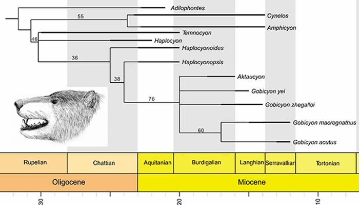 ���Ȯ��ϵͳ����������ԭͼ ��������� ��ͼ��