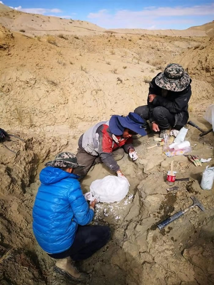 ��ظ�ԭ������ƿ����ڰ������������ط����µ���ֺ����ʯ