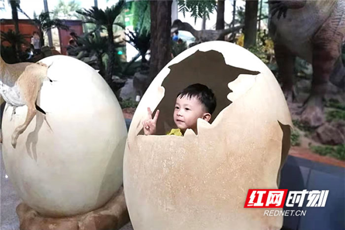 湖南省地质博物馆国庆假期火爆