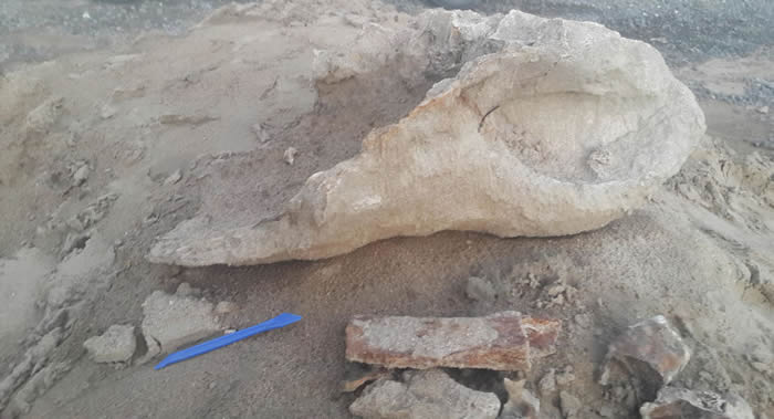 ����˹�ⱴ�Ӷ��߽���5��С�к�����һ�����ǰ��Ϭţ��ͷ�����ݻ�ʯ