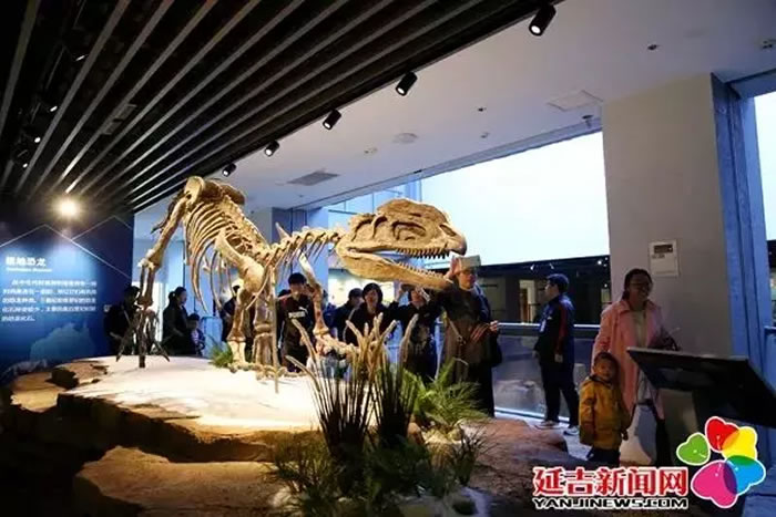 �Ӽ���������ݹ�������������� 3��1.5���ο�