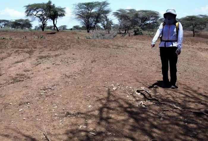 �пϾ�ʯ�����Ͽ�����Ŀ2019��ȿ��Ź�����չ