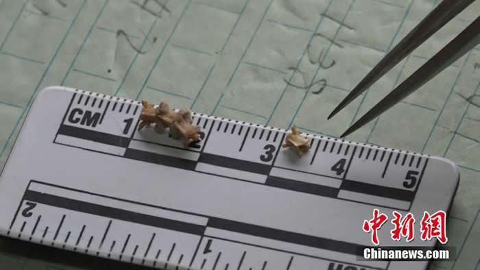 �����������������������໯ʯ ��ˮ���߻�ʯ����Լ35������27����