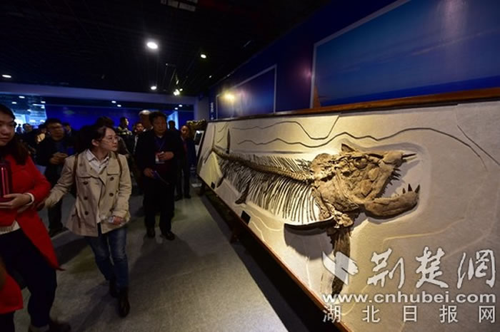 �������й�����ʯ���ؿ���մ�ἴ����Ļ ��ʯ��Ϊ����ʥ��