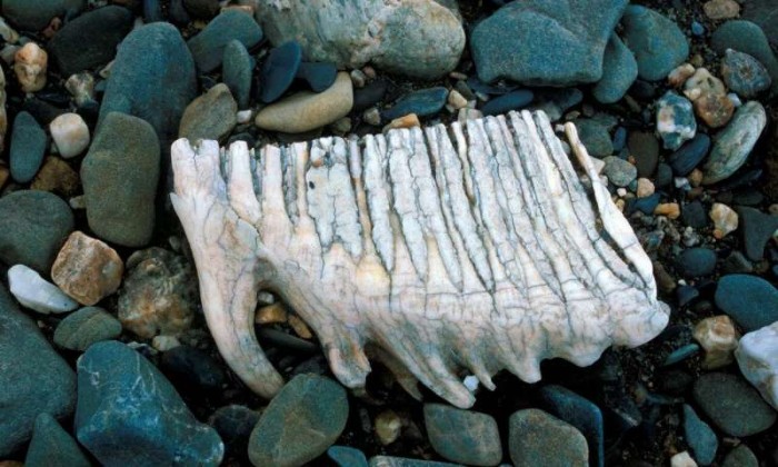 ���о�ָ�������������ֵ�λ�ã�������ĸ��������