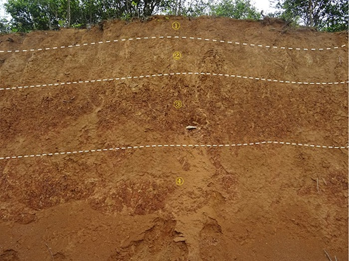 �ؼ�����ַ���漰ʯ����λ