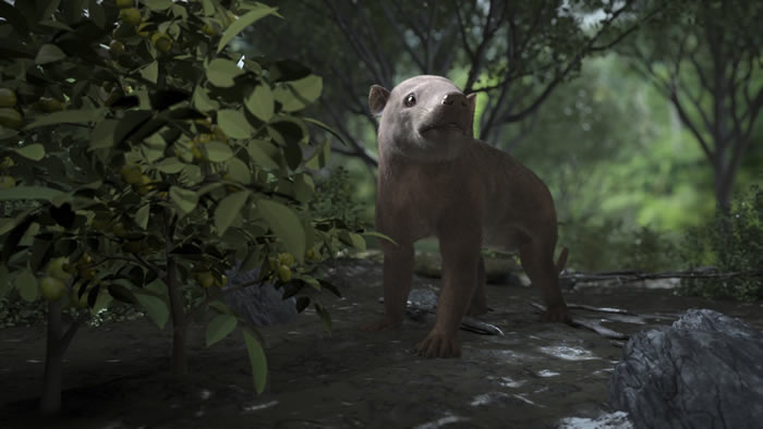 ȻѧоԱְѼ͵ŽʹָĻʯ¼