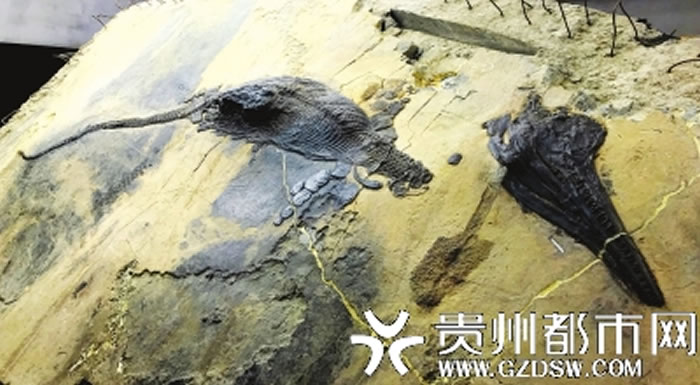 ���֮������������ʯ