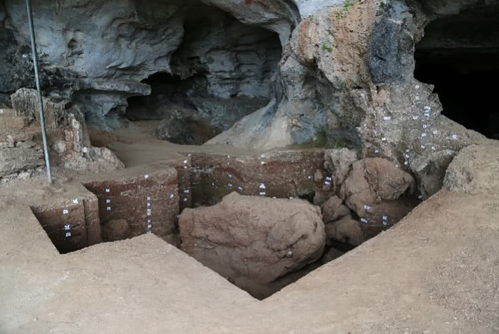 ������ַ��