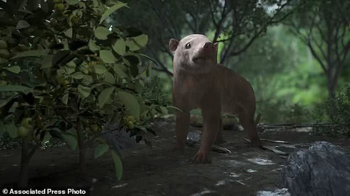 ֻ�����ͱ�����С�Ķ�����ײ���������Ҵ�������