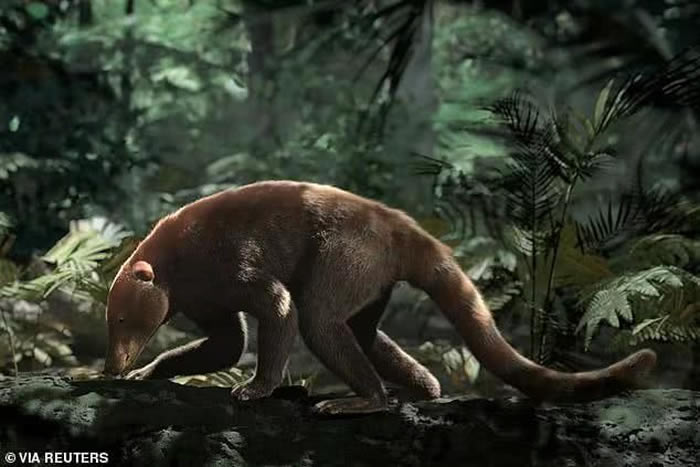 10��֮���������ʼ������ɭ�֣����鶯��������ֳ�������ܴ�С�����ָ�����ײ��ǰ��ˮƽ��