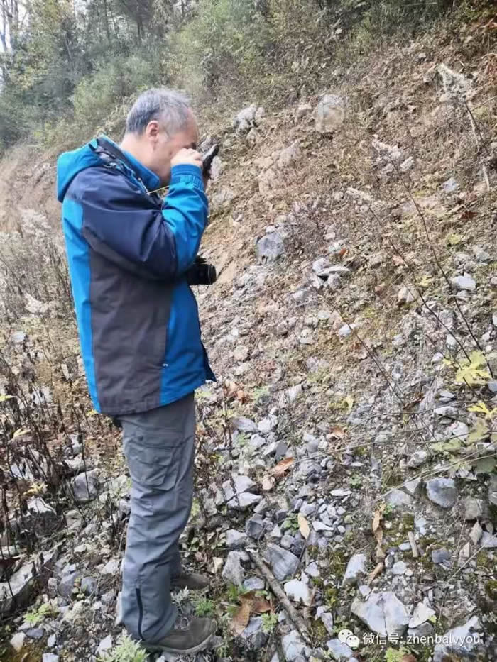 �������������ִ��������ﻯʯ