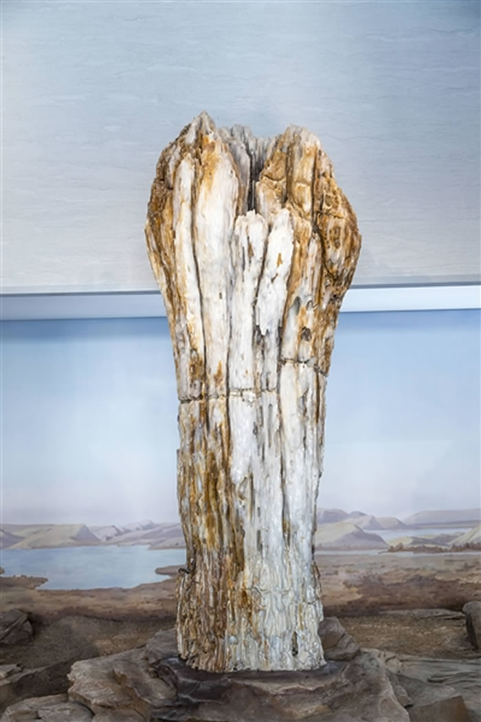 �����ﻯʯר�ҵ�������ʯ��������ʯ������