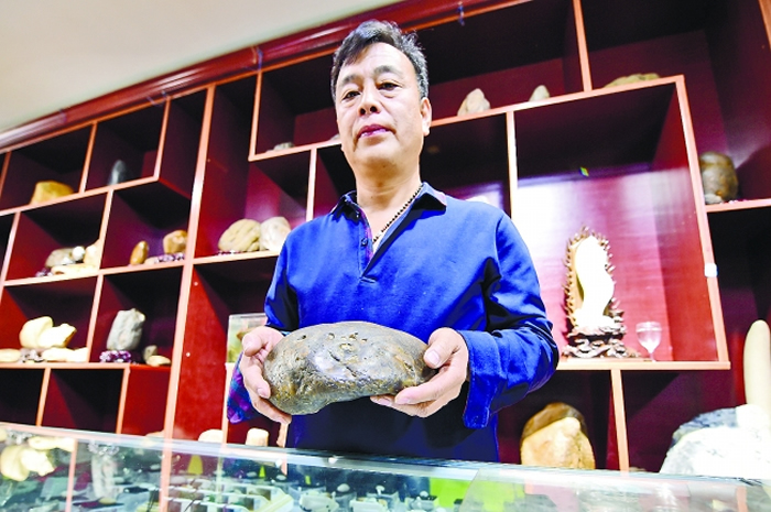 海伦市奇石协会的工作人员展示在海伦发现的化石