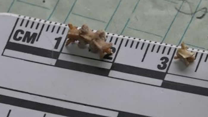 ����ʡ���������������ֵ������౻ȷ��Ϊ���Լ35��27�����ˮ���߻�ʯ