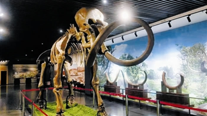 ͨ�ɿ����첩��ݹ����ﻯʯչ������ӭ��