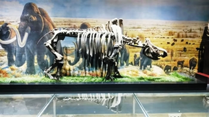 ͨ�ɿ����첩��ݹ����ﻯʯչ������ӭ��