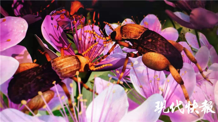 һ����ǰ���ɻ���������û�����Ի�˲�䱻���� ��������з����л�ֲ�����洫������֤��
