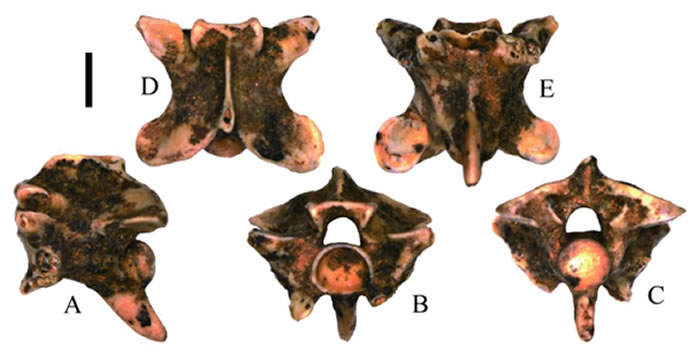 �й��״η��֡����ߡ���ʯ���ӱ�ʡ�ػʵ���ɽ��կ��������ʯ�������״η���