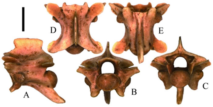 �й��״η��֡����ߡ���ʯ���ӱ�ʡ�ػʵ���ɽ��կ��������ʯ�������״η���