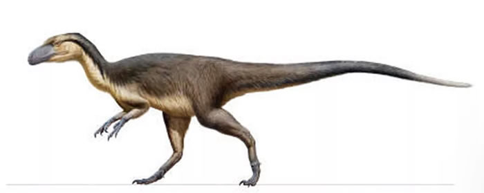 �Ĵ����ǿ���������ʱ��������ϺӴ����ھ��ϡ�еļ��ؿ�����ʯ��ë