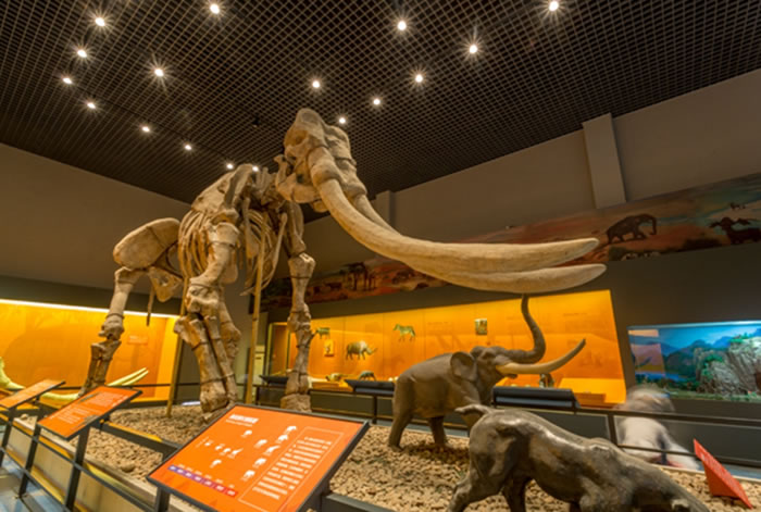 ���ղ���Ժ���չ���������ٴθĳº����¿���