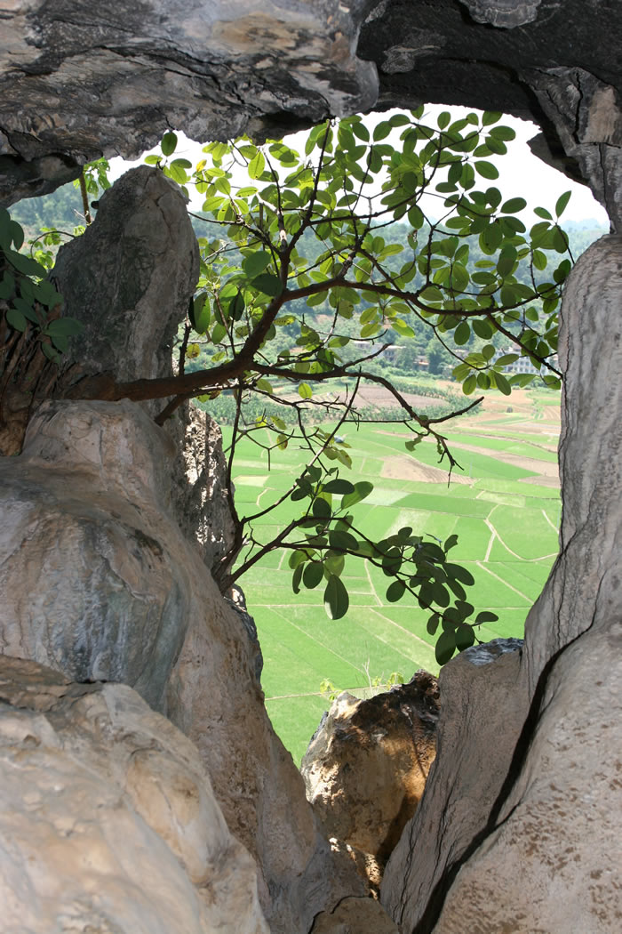 �����ﶫ�������򲼱��崵�綴���190����ľ�Գ���ݻ�ʯ�гɹ���ȡ�Ŵ�����