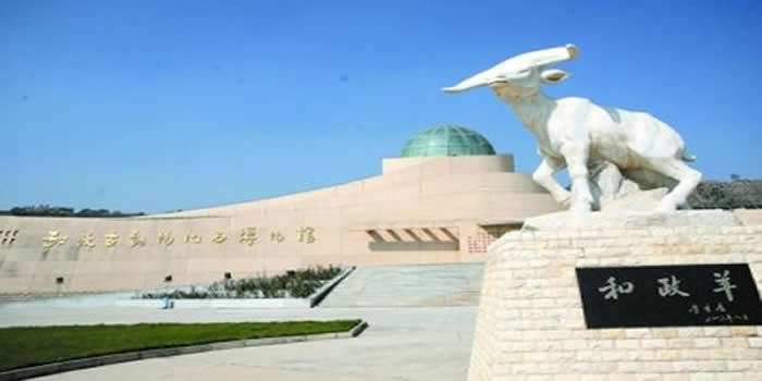 �����عŶ��ﻯʯ������������չʷǰ̽����