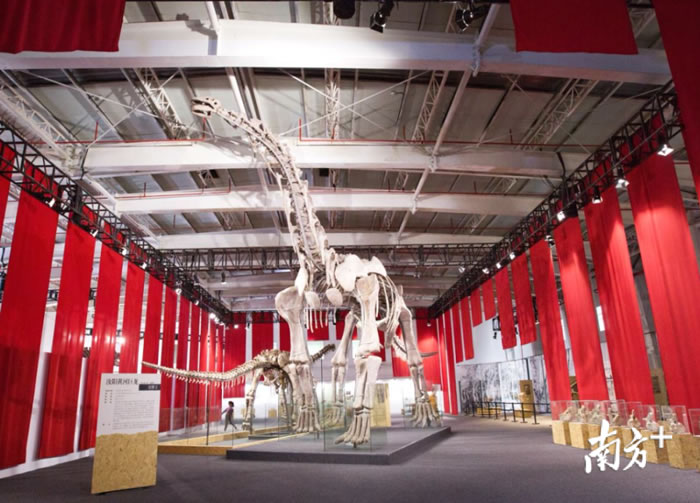 ���������ֿ�����ʯչ����������ɽ��Mind park���⹫԰�ھ���