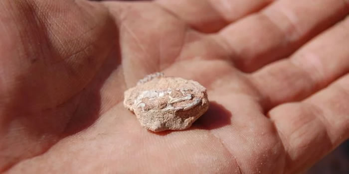 ����͢�����Ļ�ʯ��ʾ�߿�����1.7����ǰ��ʼʧȥ��