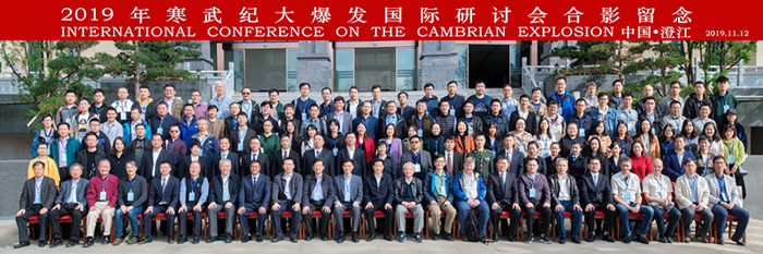 2019꺮ʹ󱬷ֻϳνٿ