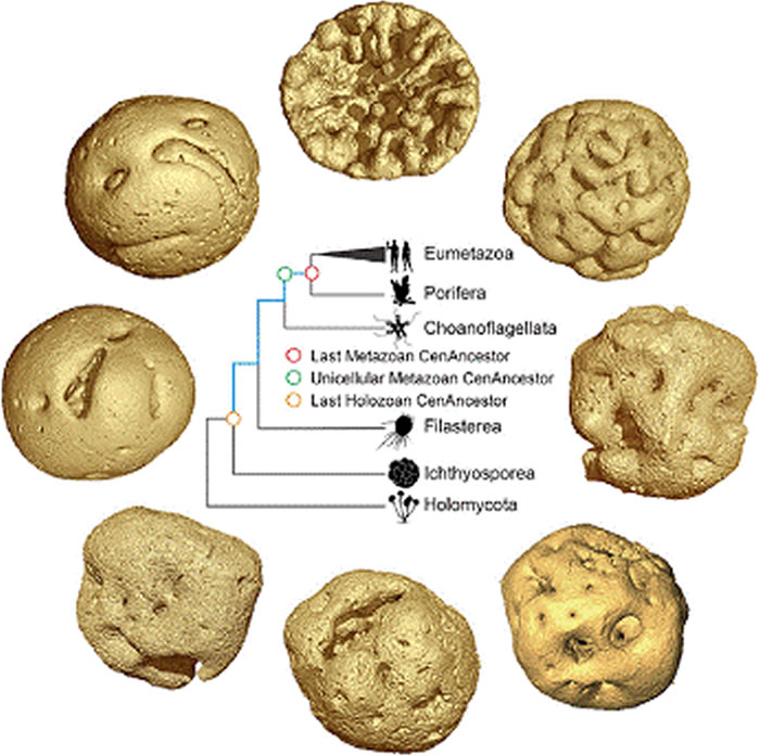 �����Ͱ�����Ⱥ�������򡱻�ʯ�о���ʾ�������������ġ�������6.1����ǰ���Ѿ�����