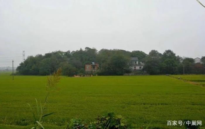 �����������ѧѧԱ��������ι���ɽ������ַ