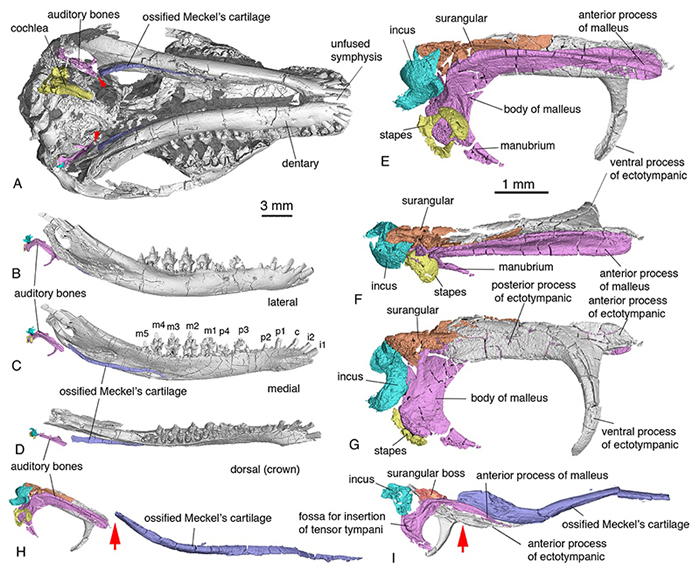 ����Դ�����ж����ڶ����������ǵ���̬�ͽ���ѧλ�á�H, ��ͷָ���������������Ƿ���㡣I����ͷָ���ɼ���޹������ж���С�Ǻ��������ǵĹ����� ��ë��԰ ��ͼ��