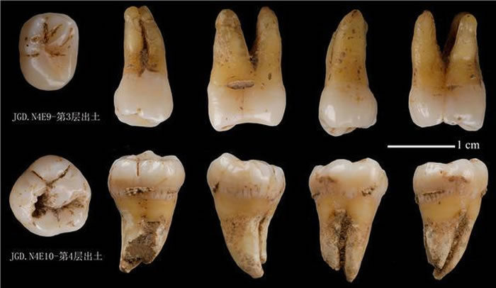 ������֣�������ʯ��ʱ����Ѩ��ַ�ش��֣���������״η�����������ִ��˻�ʯ