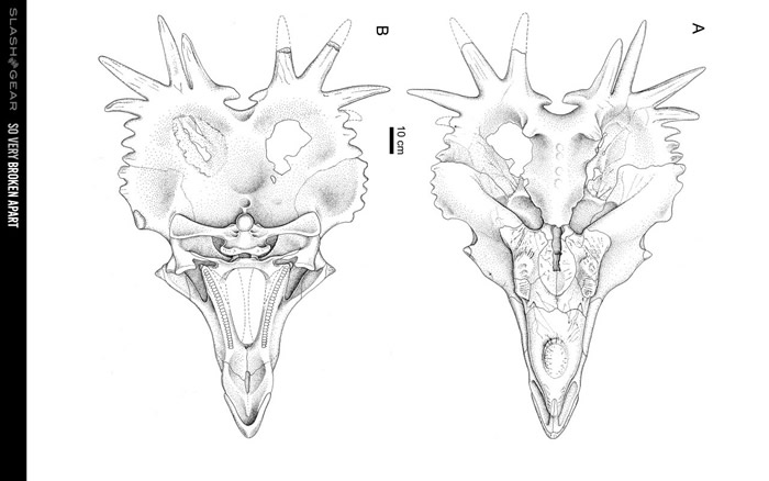 ���ô��ֵİ������������ͷ�Ǳ��UALVP55900�����ܸı��Ѿ�����200��ļ���