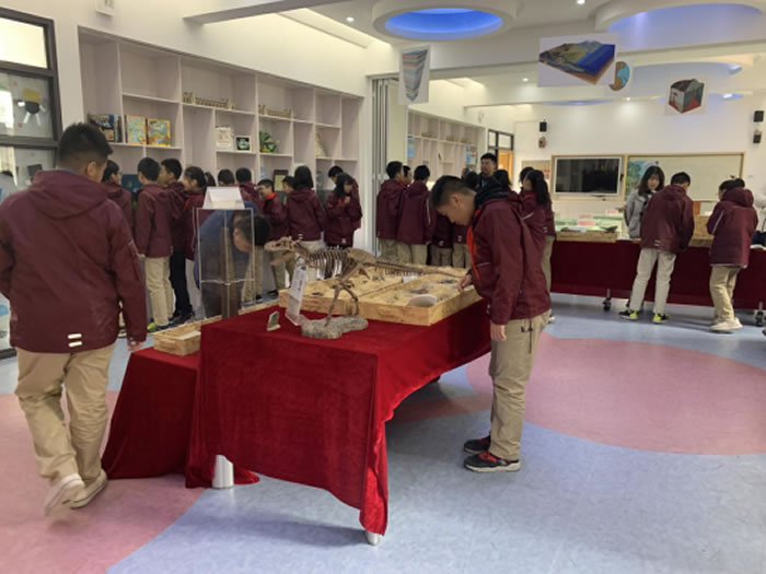 ����ʯ����ݡ��߽��人��Сѧ