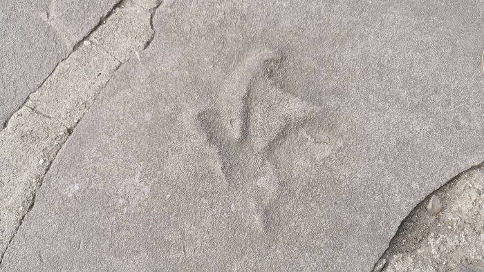 ׷Ѱ�ӱ���صĿ����㼣