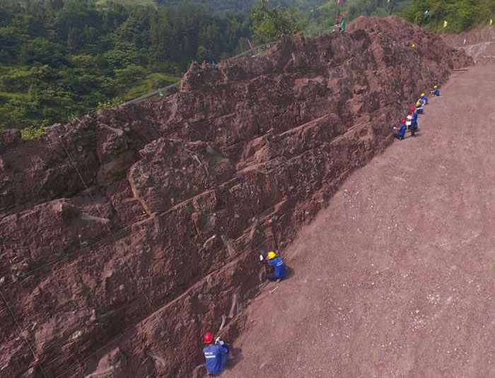 �����������﹵�鷢���¿�������Ⱥ �����������������֣��հ���������ĥ��Ϫ��Ͽ��