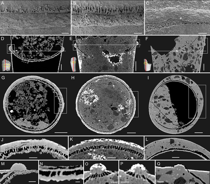 �Ͽ��ڿ����ڲ��ṹ