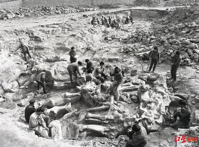 1981�꣬�Ĵ�ʡ��������ֳ�ϵͳ�����Թ���������� ��ͼ��