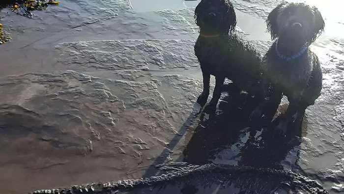 Ӣ��ҵ�࿼��ѧ�Һ�̲�޹����ⷢ��6500����ǰ������ʯ