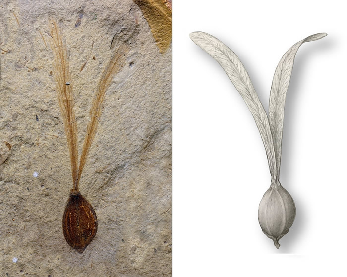 �ö�������ԭͼ