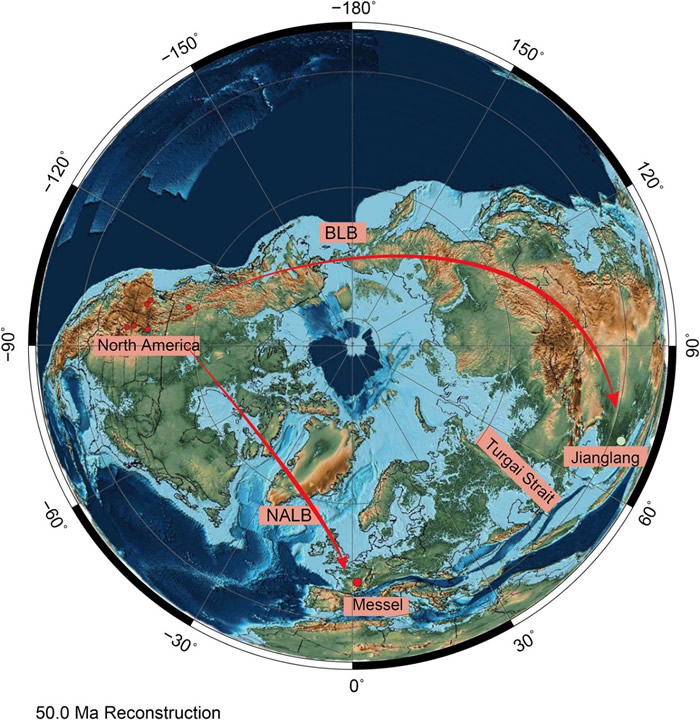 �ö������ܵĴ���·��