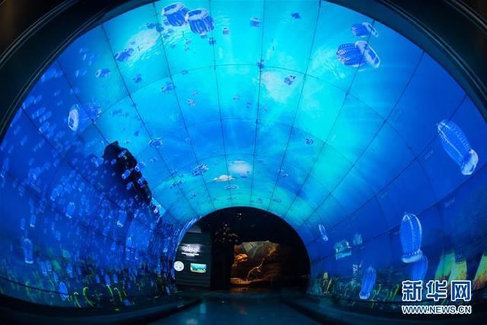 �ν���ʯ����Ȼ��������ѽ����깤��չ�ݣ�12��26���㣩��