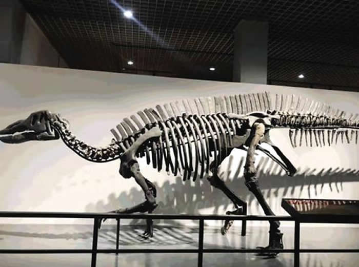 ��Զ�ŵ�����-�����������ﻯʯչ���ڴ�����Ȼ�����չ��