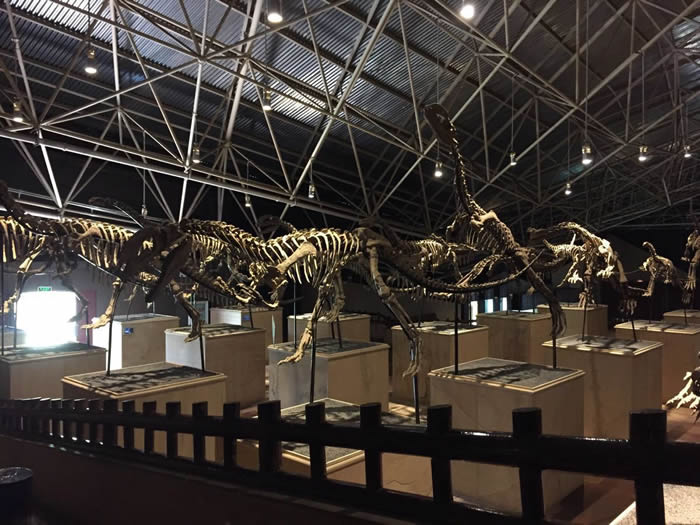 »�������ʯ�����Ϻ�����Ϊ��3���µ�չ��